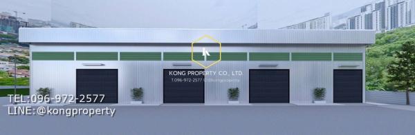 ⡴ѧ�ҧ��� �� Kong property