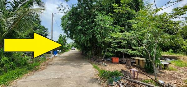 ���١�� �� janejane