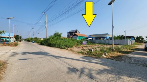 ���١�� �� janejane