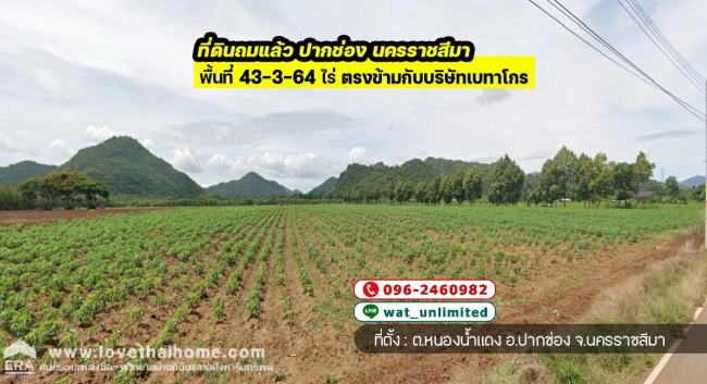 ���Թ 42 ���