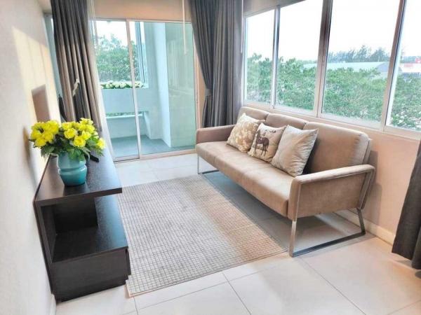 �͹� 79 �����