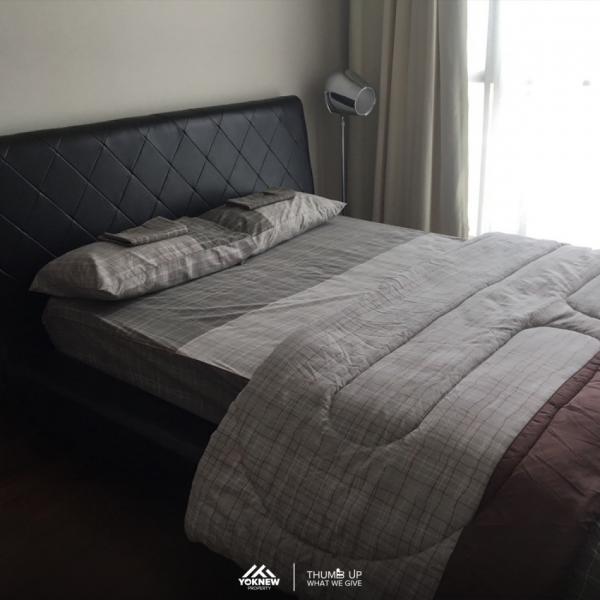 �Ѳ�� �� Yoknewproperty