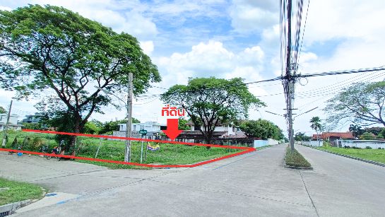 ขายที่ดิน Paradise ขายที่ดิน Paradise