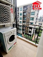 �͹� 40 ���ҧ���úҧ�� ��ا෾