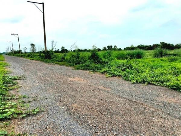 ���١�� �� janejane