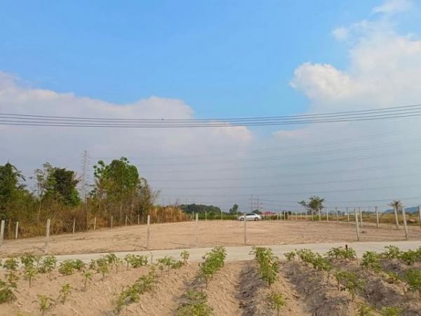 ����Ҫ� �� ahousepost9