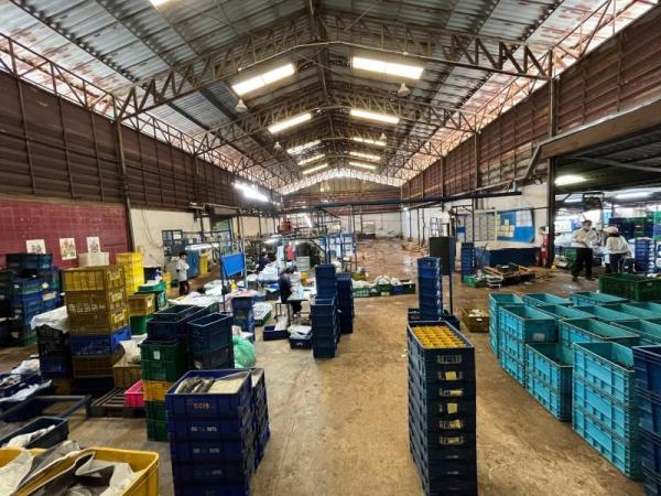 ขายโกดังBTSขาย ขายโกดังBTSขาย