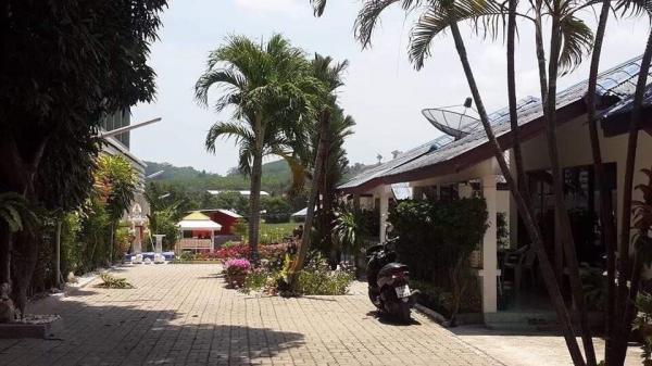 ��¸�áԨ ��ҧ����