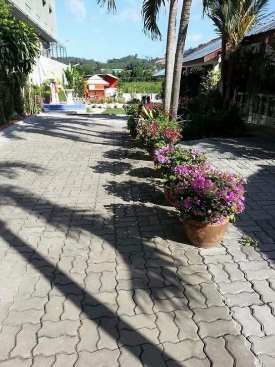 ��¸�áԨ ��ҧ����