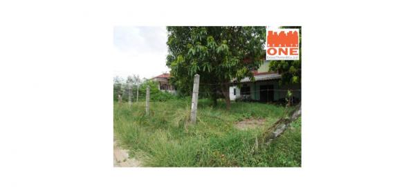 ��º�ҹ ���ͧ��¹ҷ��¹ҷ