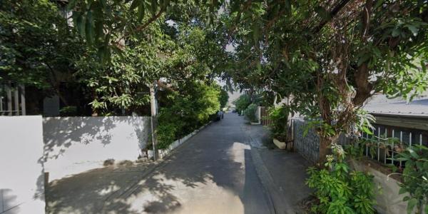 ����Ѳ�� �� HarrisonTH