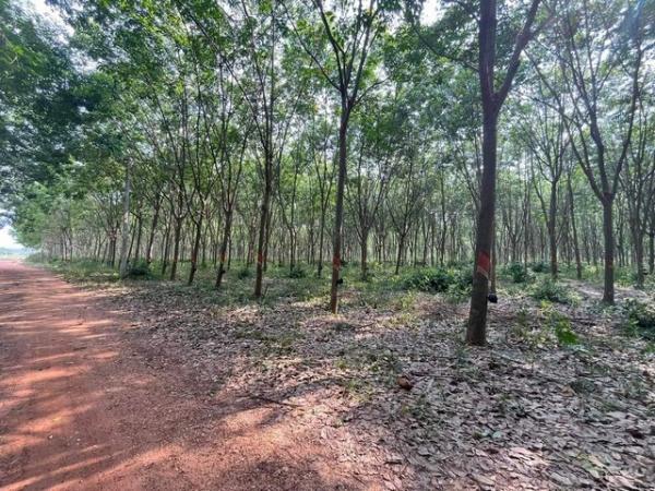 �ҹ�ͧ �� goodlada24