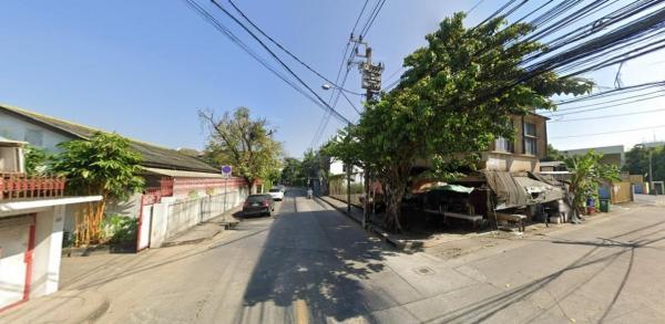 ����Ѳ�� �� HarrisonTH