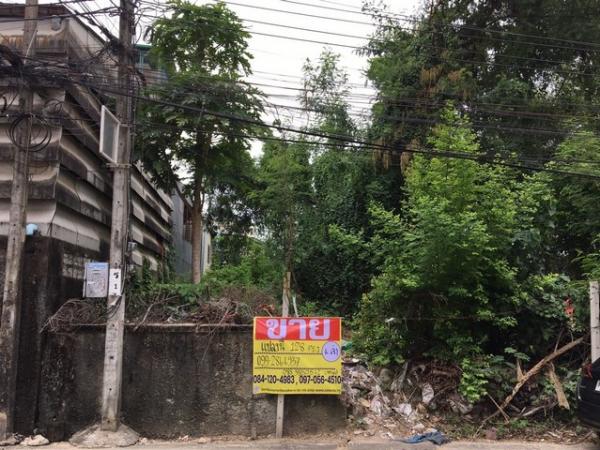 ��ا෾ �� zionasset1