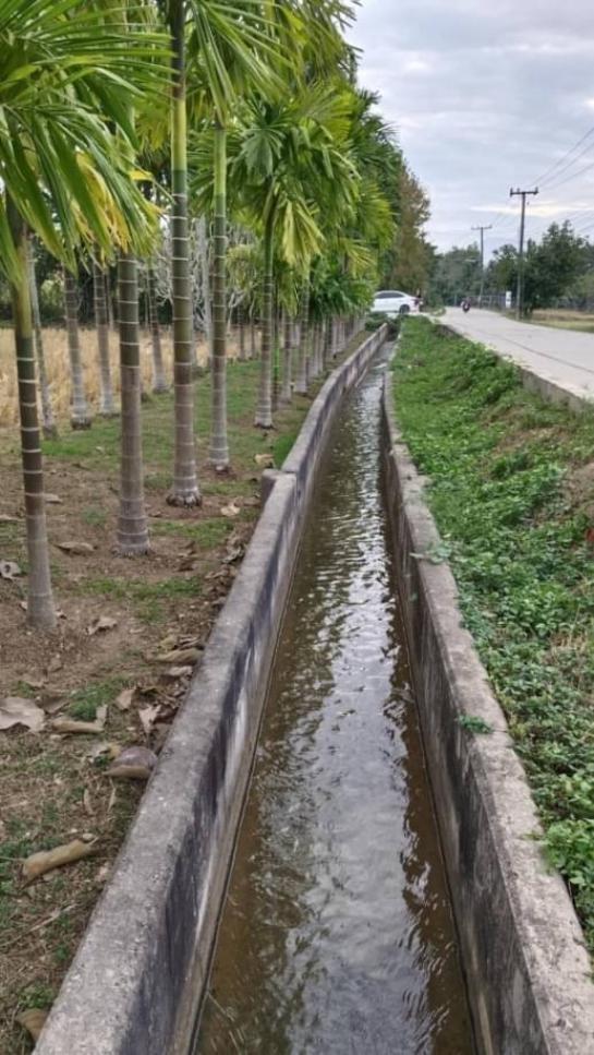 ������ �� onanong khumaphao