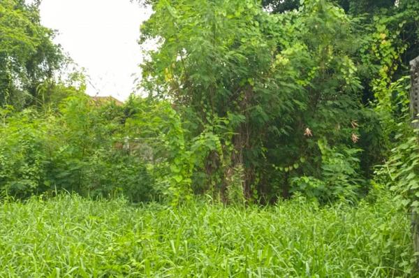 �ҧࢹ �� Baan Bangkok Broker