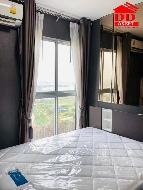 ��¤͹� �ҧ���