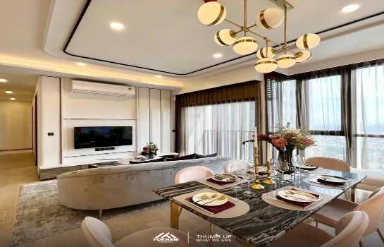 ����Ѳ�� �� Yoknewproperty