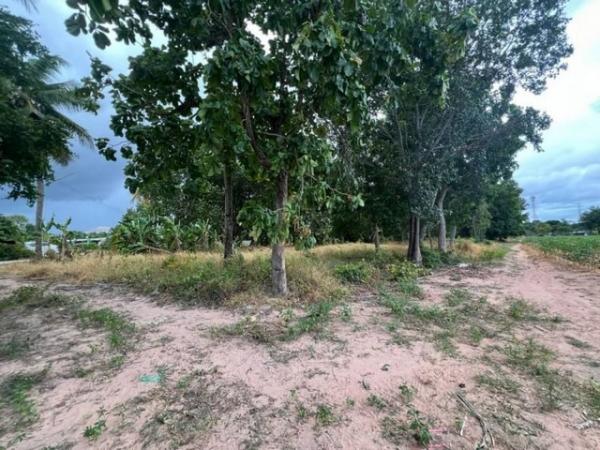 ����Ҫ� �� ahousepost9