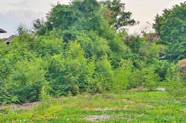 �ҧࢹ �� Baan Bangkok Broker