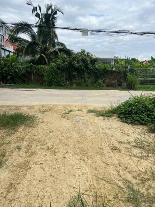 ������ �� northern1