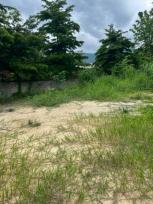 ���Թ ������