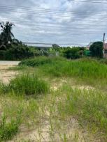 ���Թ ������