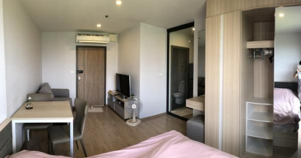 �͹�Swimming �ҧ��