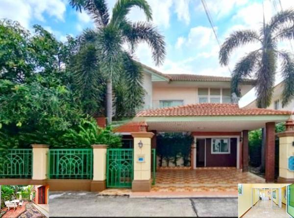 �ҧ���� �� nut.allentrepreneur