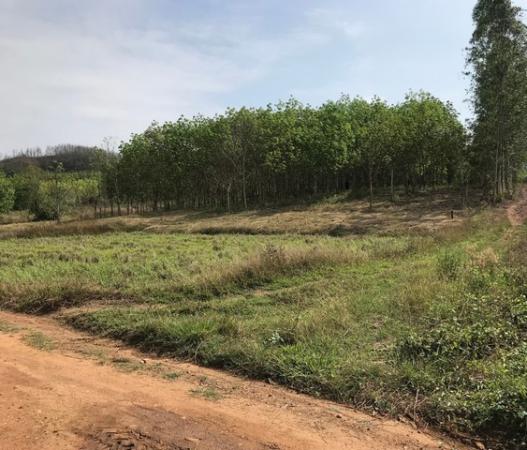 ��·��Թ �ҡ�� ���