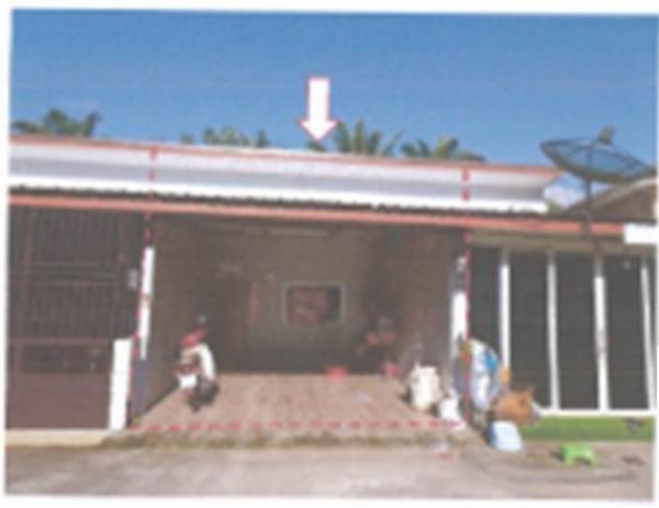 ��к�� �� panaya.opalopal