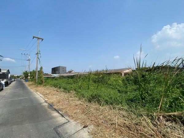 ���١�� �� amaraphat78