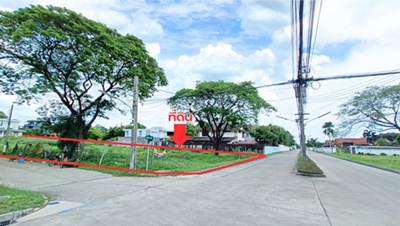 ขายที่ดิน Paradise ขายที่ดิน Paradise