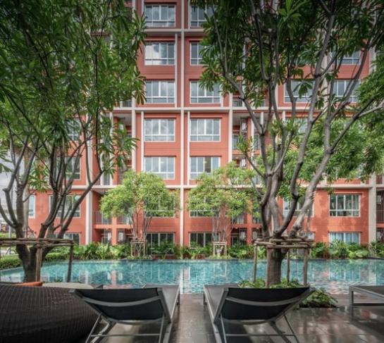 ��� �� kulchaya1