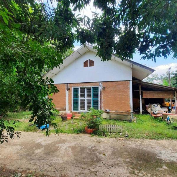 บ้านHospital 200 ตารางวา บ้านHospital 200 ตารางวา