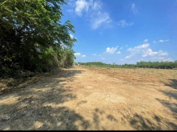 ��ͷͧ �� goodlada24