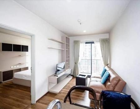 �͹ⴾ��� �� incube