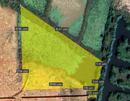 ���� �� incube