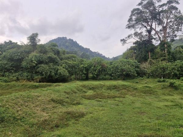 ��ҧ �� room168sub