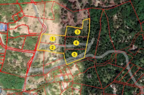 ��� �� domepost66