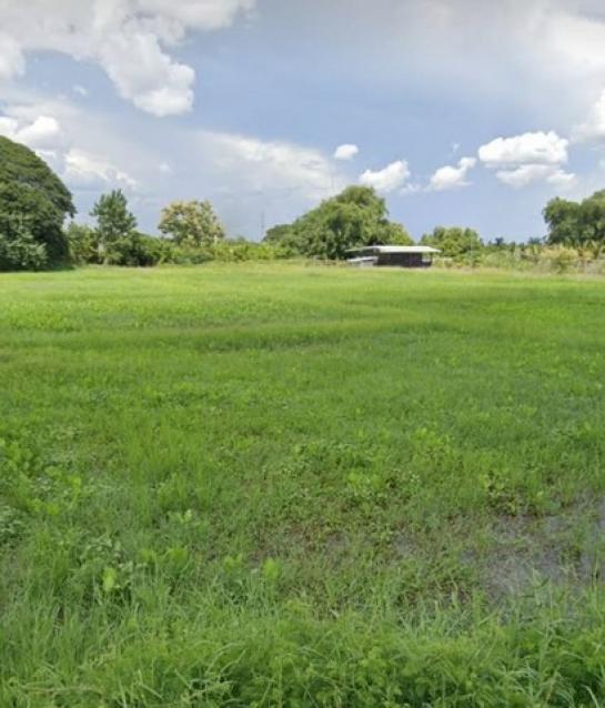 �ҧ�� �� northern1