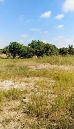 �ҧ�� �� onanong khumaphao