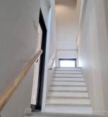 �������Ҥ�þҳԪ�� �͹���ͧ