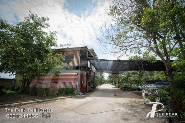 ��� �� kulchaya1