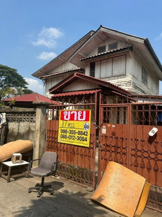 ˹ͧ�� �� zionasset1