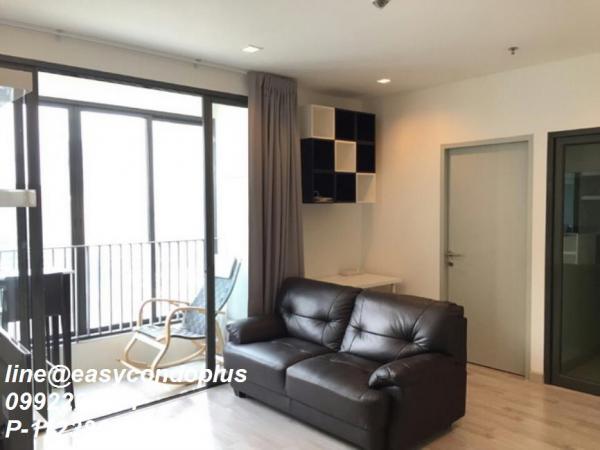 �͹�����ͧ�ѡ��� ���¢�ҧ