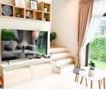 �����Һ�ҹ �ҧ��Ƿͧ