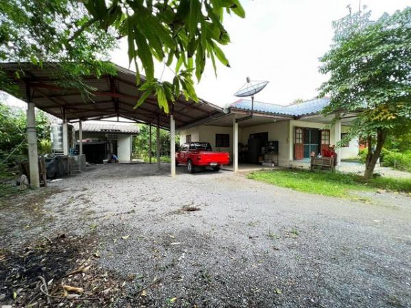 ������ �� zionasset1