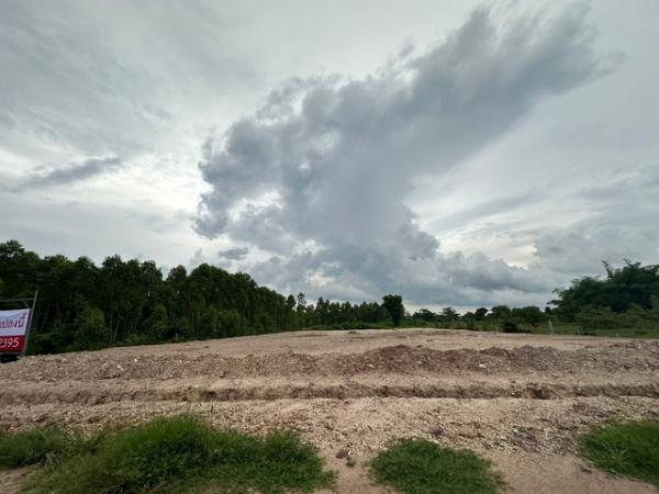 ���ͧ �� pazarestate1