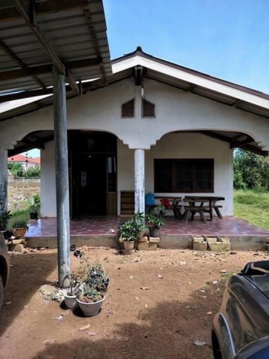 ������� �� zionasset1